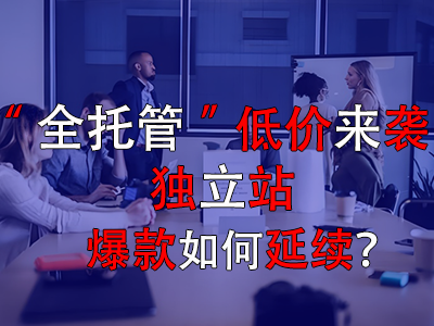 全托管低价来袭,独立站爆款如何延续? 全托管低价来袭,独立站爆款如何延续?